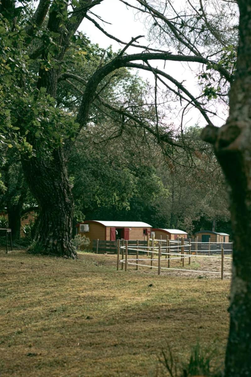Roulottes Cocooning Au Coeur Des Landes Hotel Mées Kültér fotó