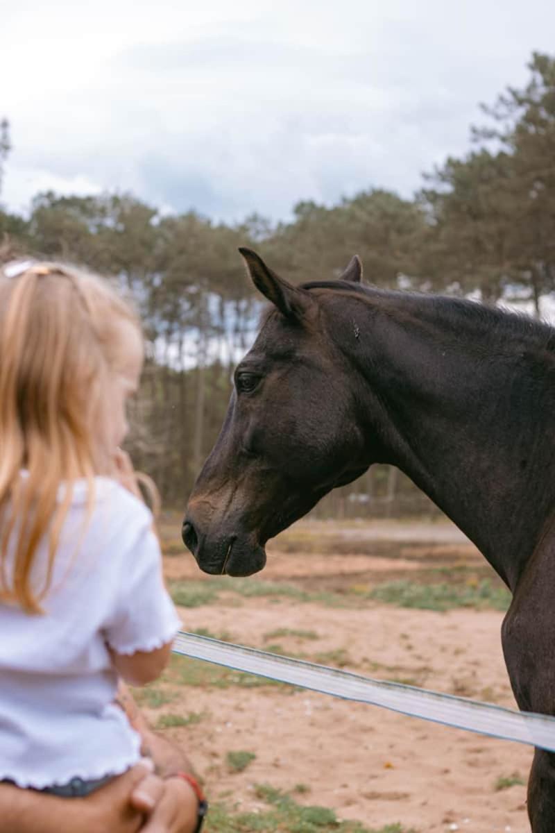 Roulottes Cocooning Au Coeur Des Landes Hotel Mées Kültér fotó