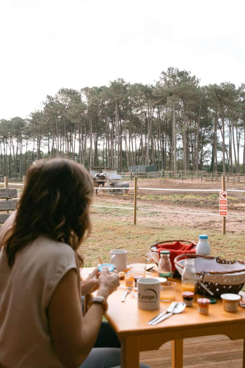 Roulottes Cocooning Au Coeur Des Landes Hotel Mées Kültér fotó