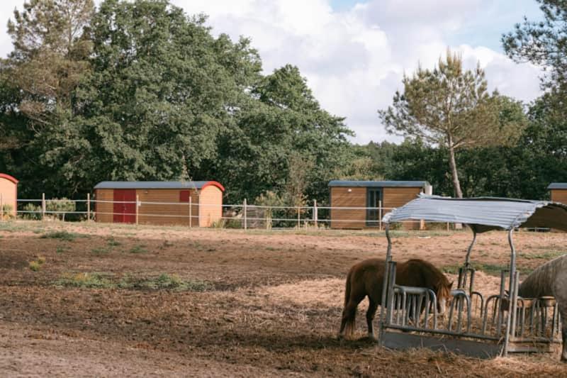 Roulottes Cocooning Au Coeur Des Landes Hotel Mées Kültér fotó